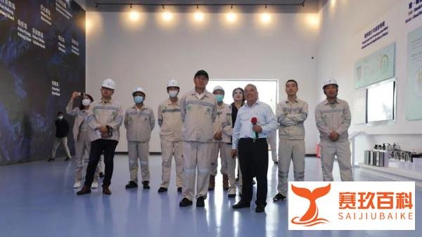 丁立国董事长一行到印尼莫若瓦利工业园视察