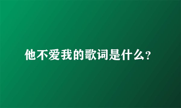 他不爱我的歌词是什么？