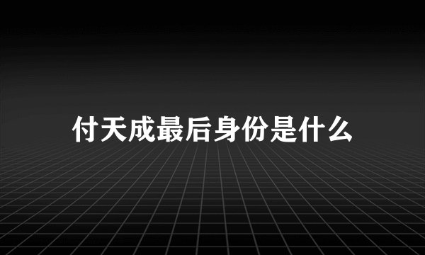 付天成最后身份是什么