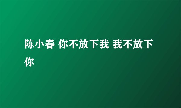 陈小春 你不放下我 我不放下你