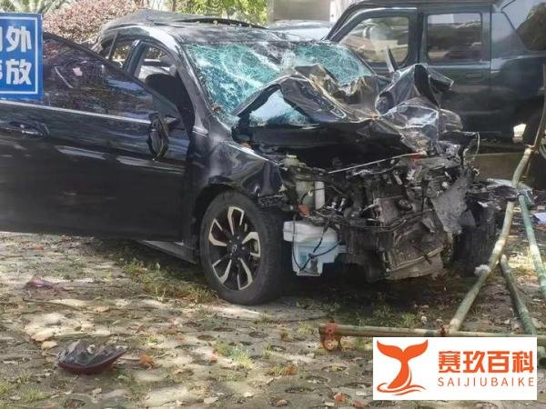 驾车致3死16伤！肇事学生母亲透露：疑因挂科撞人
