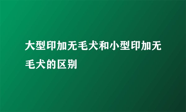 大型印加无毛犬和小型印加无毛犬的区别