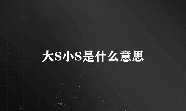大S小S是什么意思