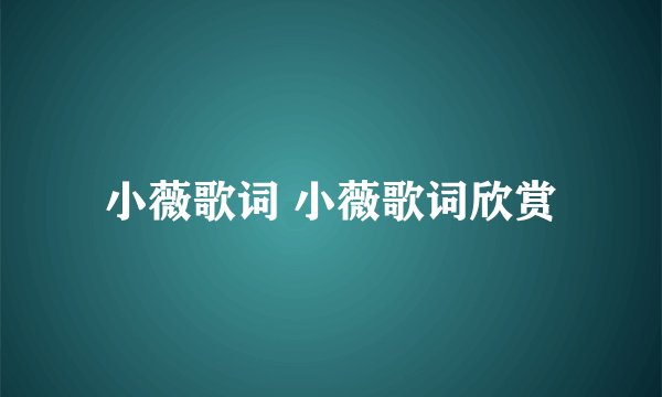 小薇歌词 小薇歌词欣赏
