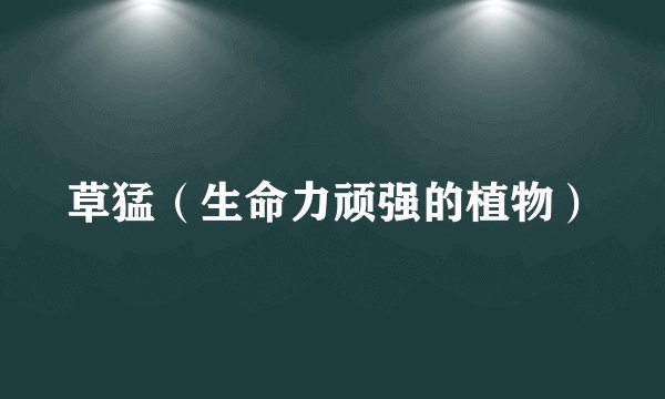 草猛（生命力顽强的植物）