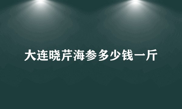 大连晓芹海参多少钱一斤