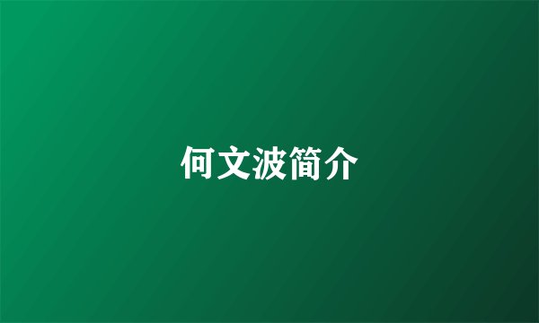 何文波简介
