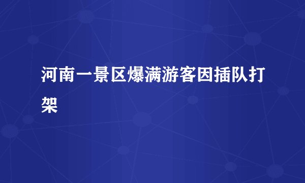 河南一景区爆满游客因插队打架