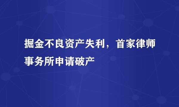 掘金不良资产失利，首家律师事务所申请破产