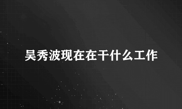 吴秀波现在在干什么工作