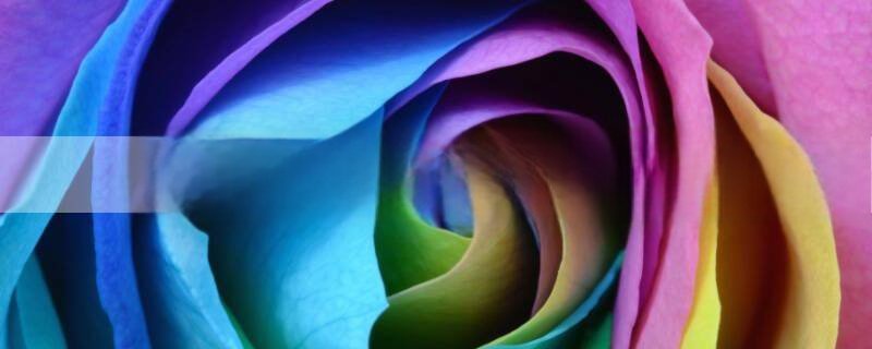 我是土夫子在哪里能看