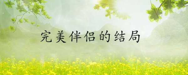 完美伴侣大结局