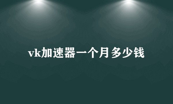 vk加速器一个月多少钱