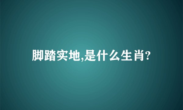 脚踏实地,是什么生肖?
