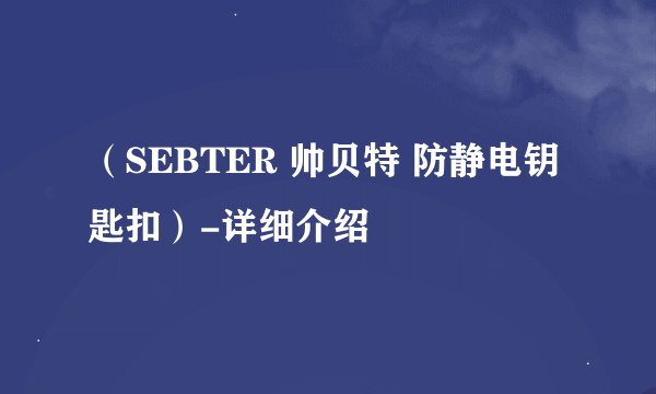 （SEBTER 帅贝特 防静电钥匙扣）-详细介绍