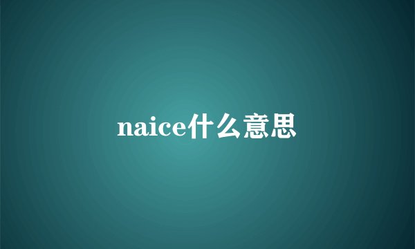 naice什么意思