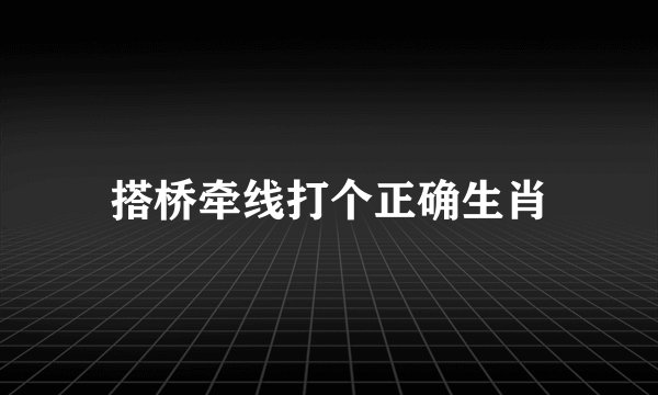 搭桥牵线打个正确生肖