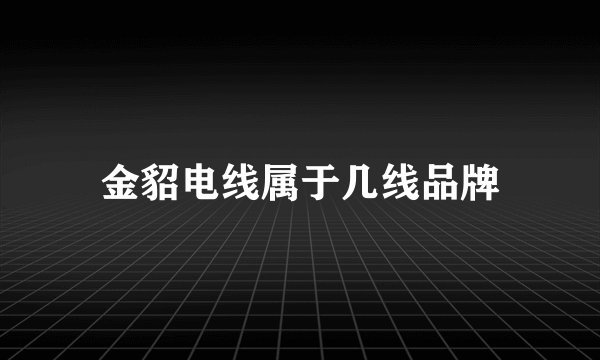 金貂电线属于几线品牌