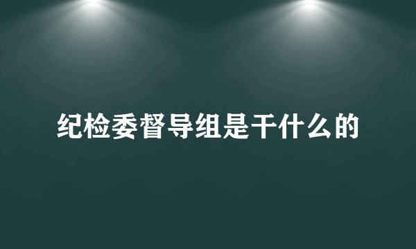 纪检委督导组是干什么的