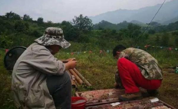 河南发现大型银矿 潜在经济价值约45亿元