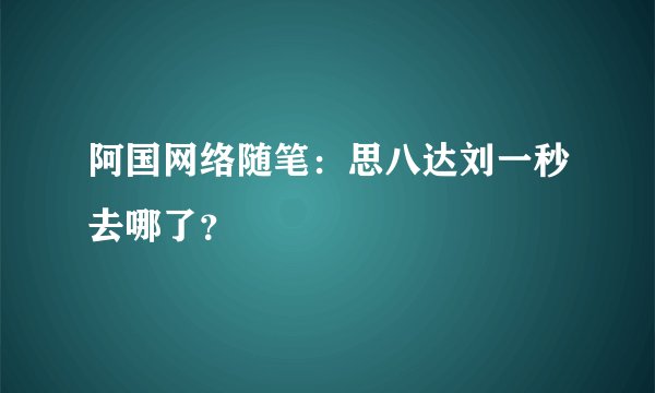 阿国网络随笔：思八达刘一秒去哪了？