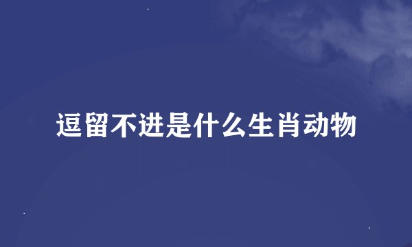 逗留不进是什么生肖动物