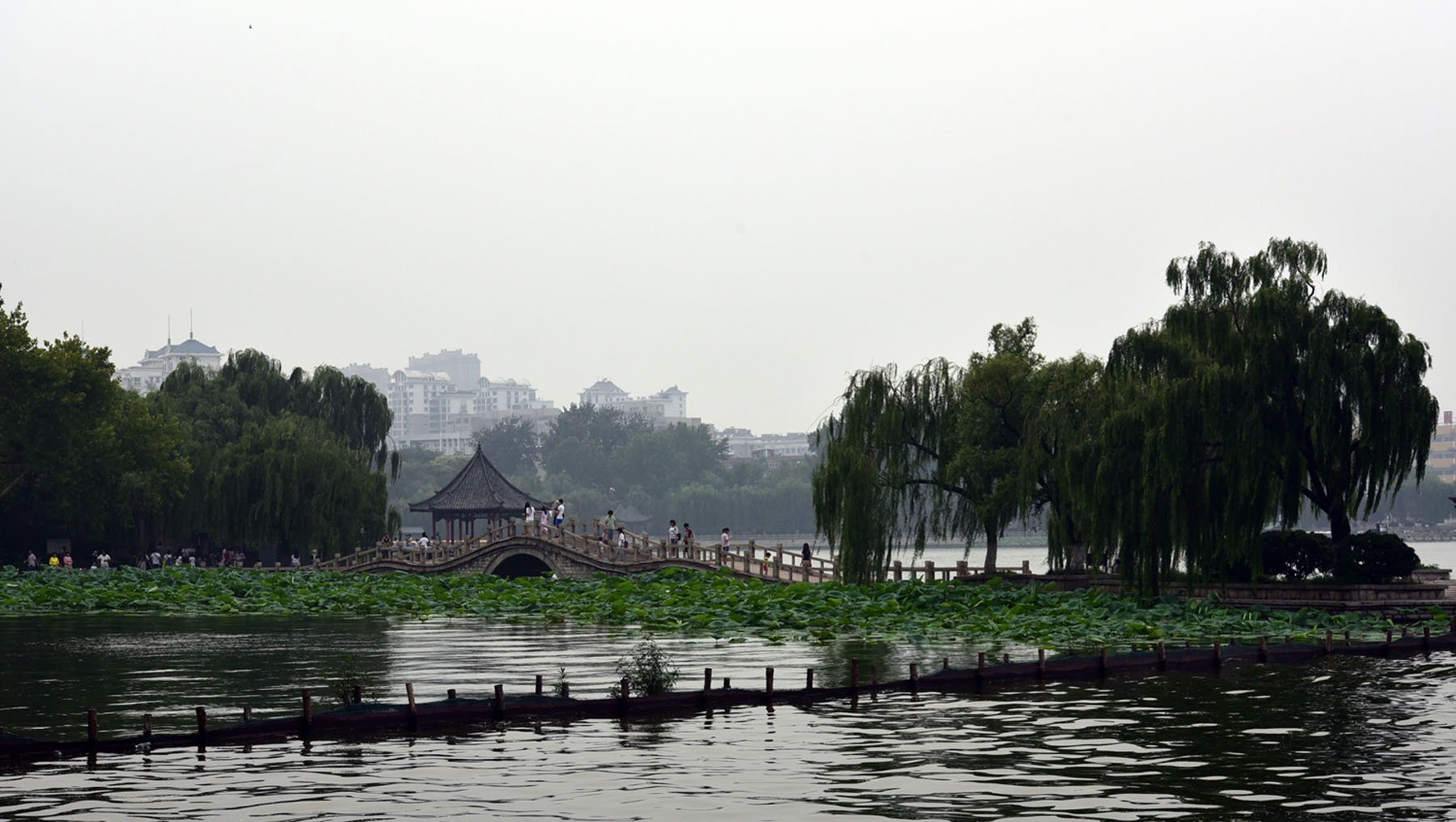 大明湖四怪是什么，有什么传说？