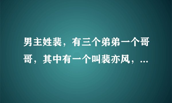 男主姓裴，有三个弟弟一个哥哥，其中有一个叫裴亦风，好像是明星。女二叫左蓝，是个画家。女主不记得叫什