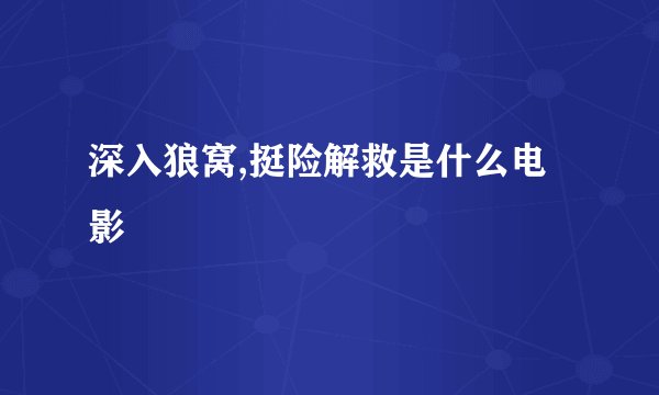 深入狼窝,挺险解救是什么电影