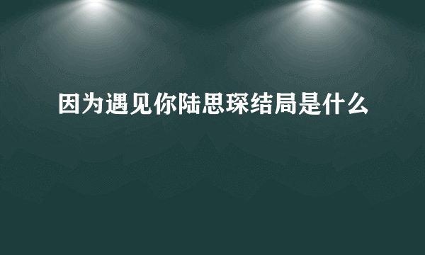 因为遇见你陆思琛结局是什么