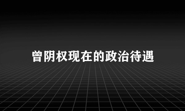 曾阴权现在的政治待遇