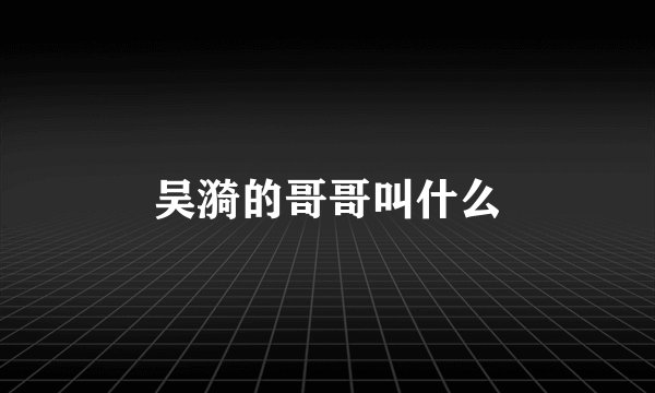 吴漪的哥哥叫什么