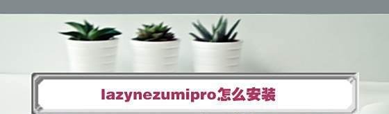lazynezumipro怎么安装
