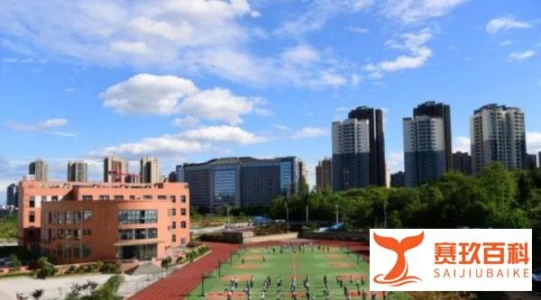 百名公办教师在民校任教?官方通报:高度重视,抓紧制定整改方案