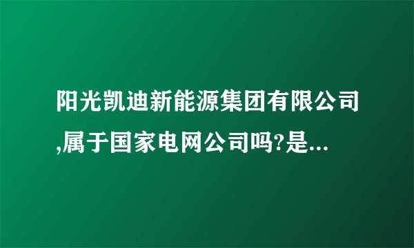 阳光凯迪新能源集团有限公司,属于国家电网公司吗?是国企还是民营