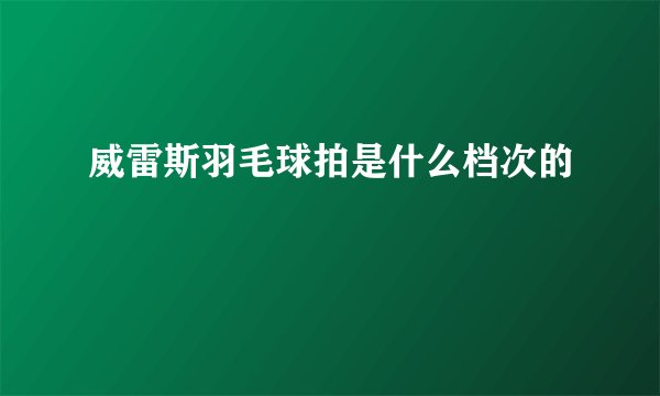 威雷斯羽毛球拍是什么档次的