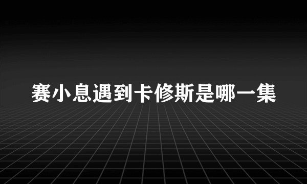 赛小息遇到卡修斯是哪一集