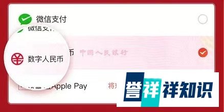 数字人民币“首批入围者”亮相,哪些科技公司抢占了先机?