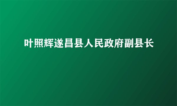 叶照辉遂昌县人民政府副县长