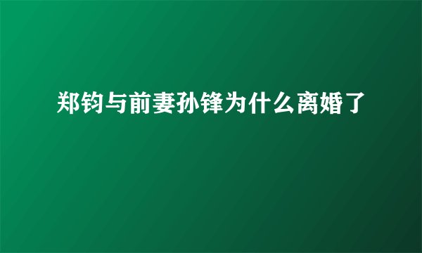 郑钧与前妻孙锋为什么离婚了