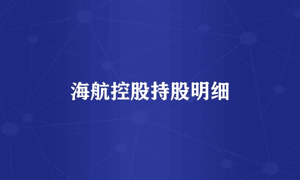 海航控股持股明细