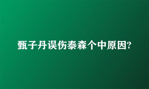 甄子丹误伤泰森个中原因?