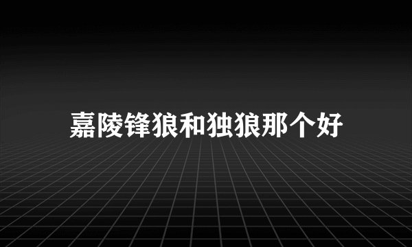 嘉陵锋狼和独狼那个好