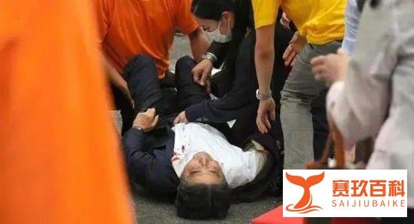 安倍晋三的贴身美女保镖一一石田萌美