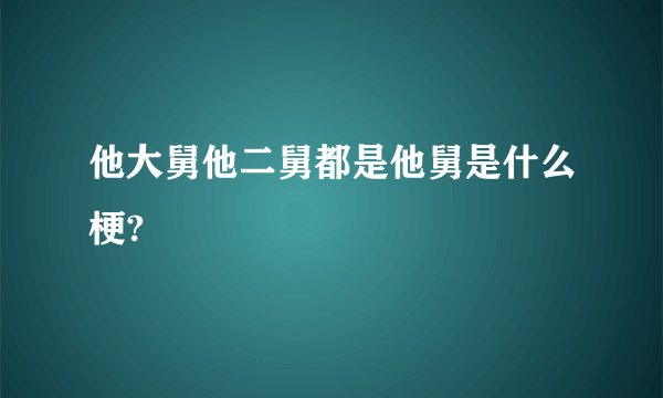 他大舅他二舅都是他舅是什么梗?