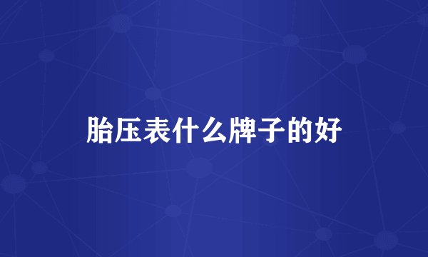 胎压表什么牌子的好