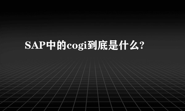 SAP中的cogi到底是什么?