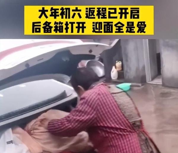 爱的“后备箱”：塞了7个烂石榴，家的味道，永不过期！