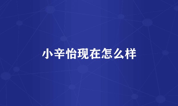 小辛怡现在怎么样