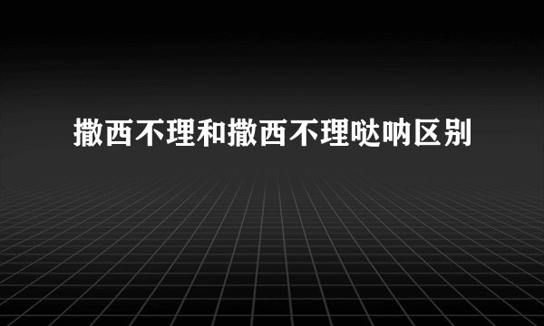 撒西不理和撒西不理哒呐区别